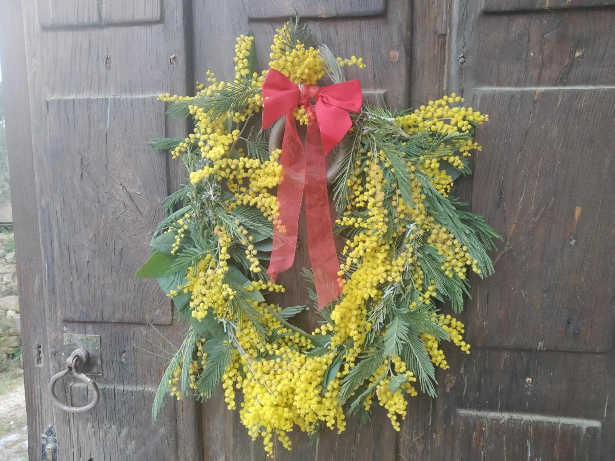 Apartamento Felicitas En La Casa De Cobos, Ribeira Sacra Puebla Del Brollon Exteriör bild