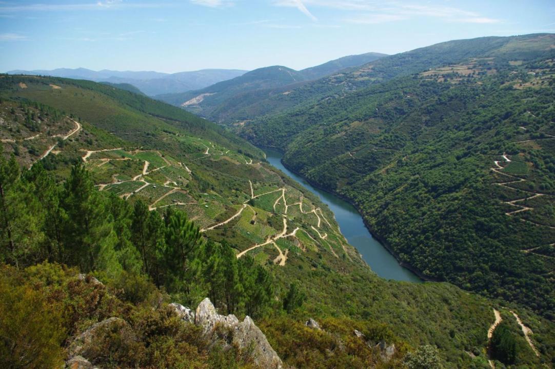 Apartamento Felicitas En La Casa De Cobos, Ribeira Sacra Puebla Del Brollon Exteriör bild
