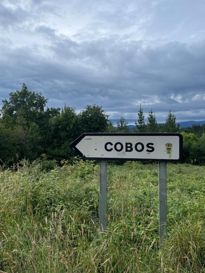 Apartamento Felicitas En La Casa De Cobos, Ribeira Sacra Puebla Del Brollon Exteriör bild